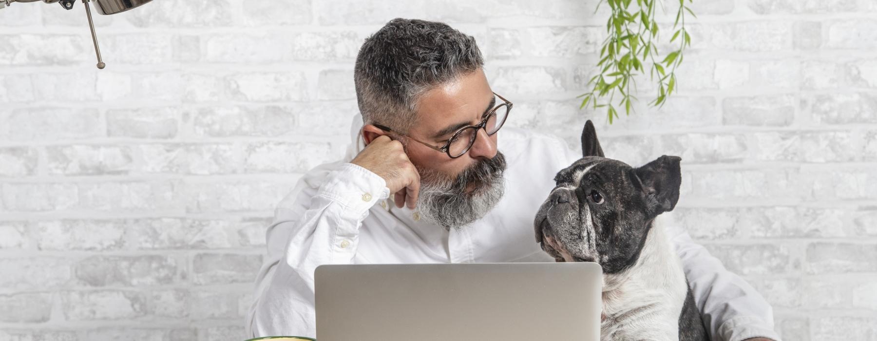 a man and a dog looking at a laptop