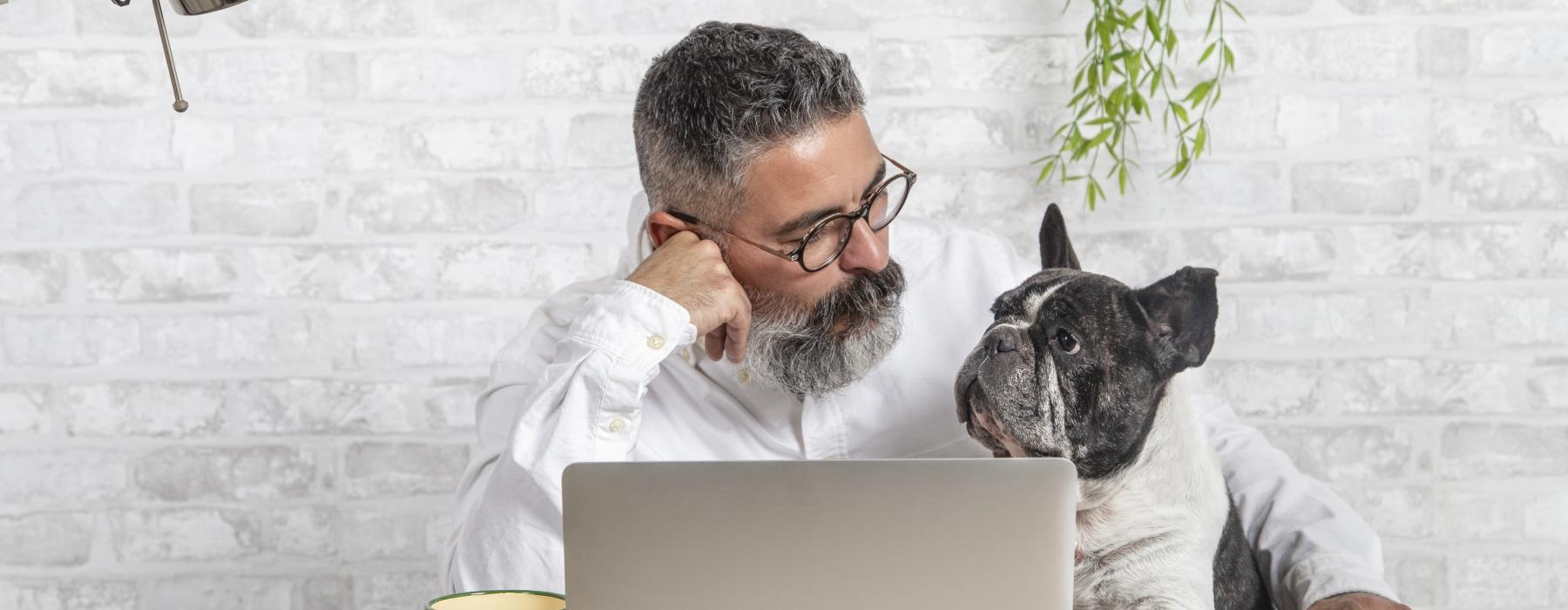 a man and a dog looking at a laptop