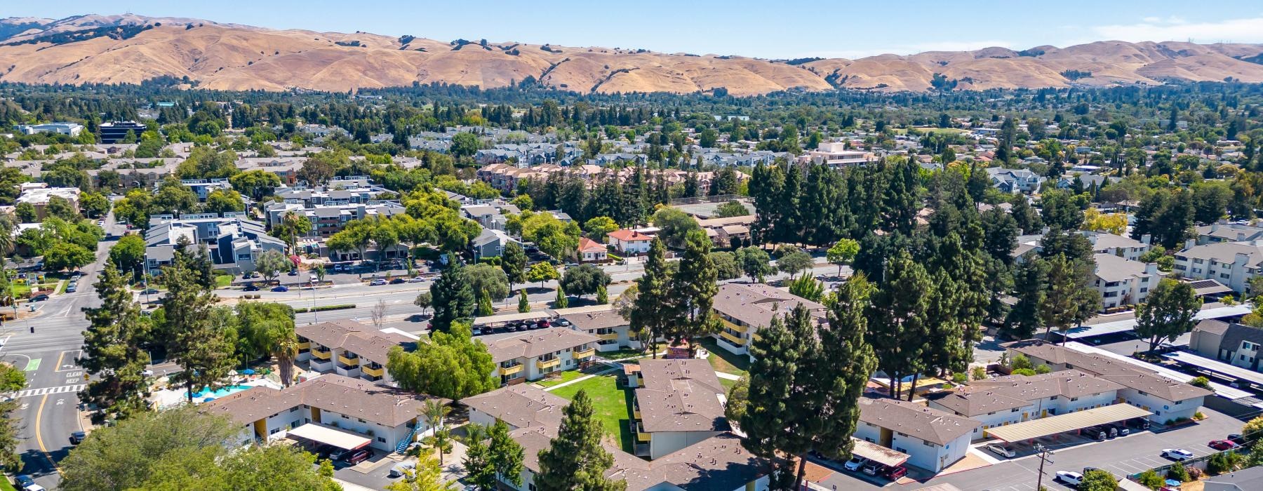 a city with many buildings and trees